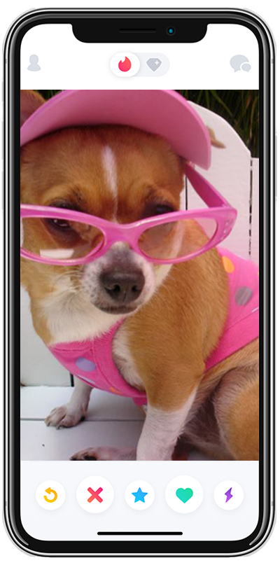 iphone-dog